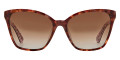 Havana / Brown Gradient Polarized