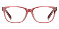 Burgundy Havana