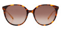 Havana / Brown Gradient