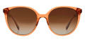 Crystal Brown / Brown Gradient Polarized