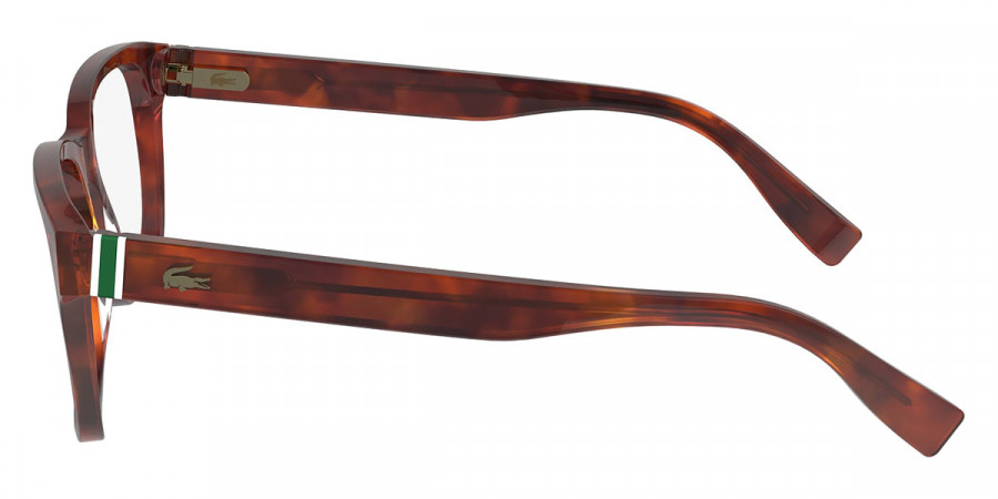 Color: Havana Blonde (218) - Lacoste LACL293721854