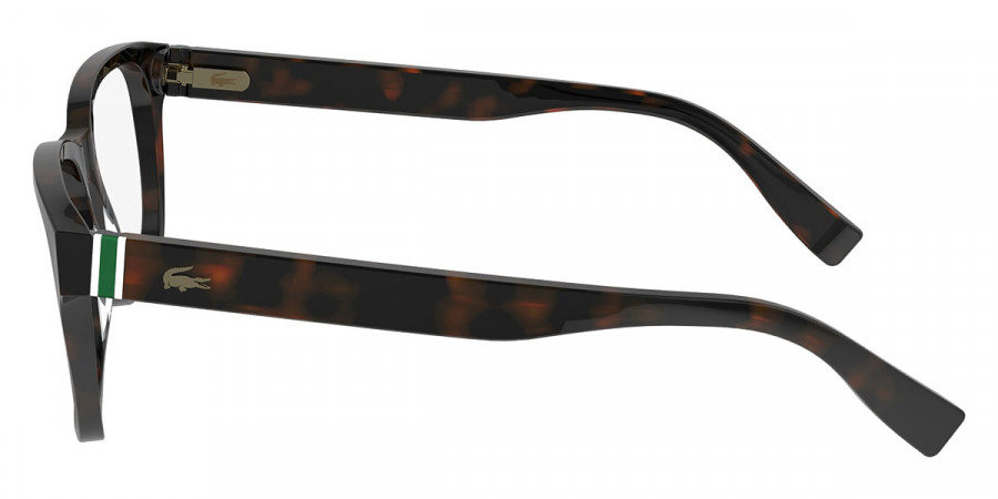 Color: Dark Havana (230) - Lacoste LACL293723054