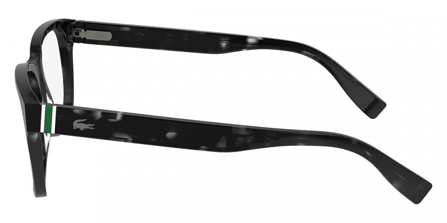 Color: Havana Gray (240) - Lacoste LACL293724054