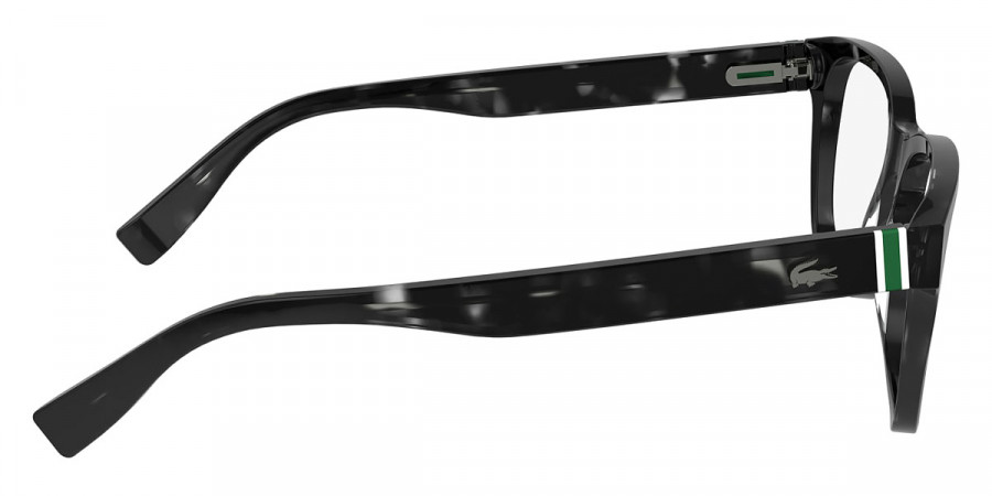 Color: Havana Gray (240) - Lacoste LACL293724054