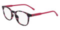 Havana / Pink