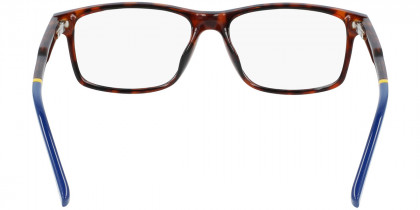 Color: Havana (214) - Lacoste LACL363721449
