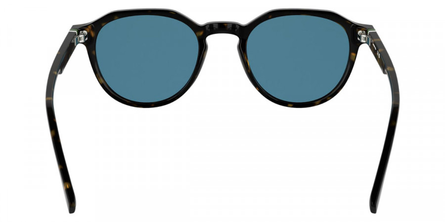 Color: Havana (214) - Lacoste LACL6052S21451