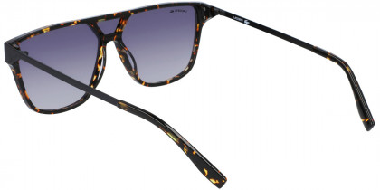 Color: Havana (214) - Lacoste LACL936S21460
