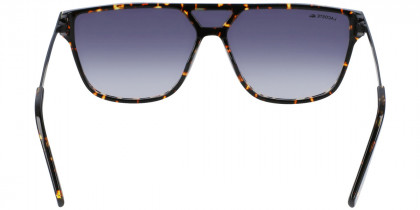 Color: Havana (214) - Lacoste LACL936S21460