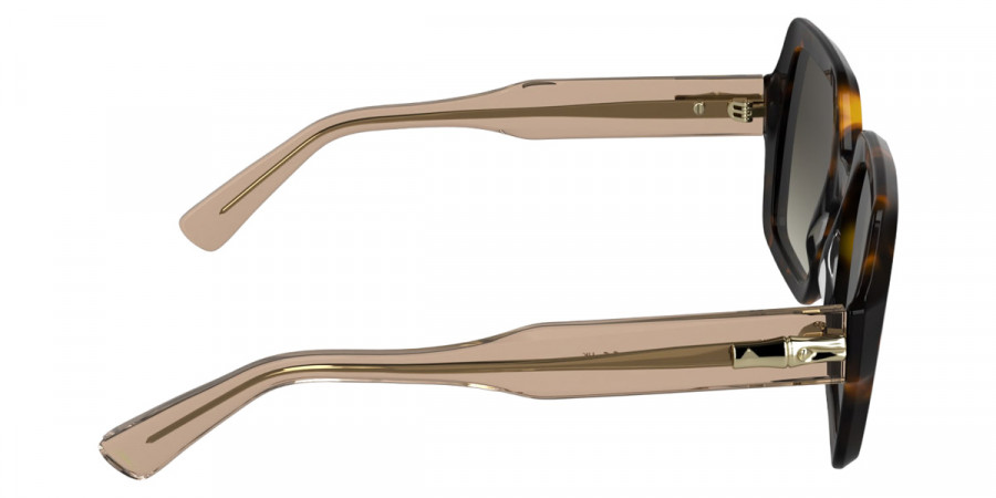 Longchamp™ - LO790S