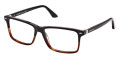 Shiny Black and Classic Havana
