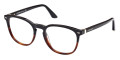 Shiny Black and Classic Havana