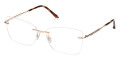 Shiny Pale Gold/Shiny Classic Havana