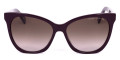 Plum / Brown Gradient