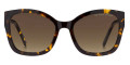 Havana / Brown Gradient