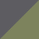 Shiny Gray / Green