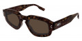 Havana / Brown