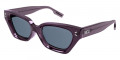 Violet / Gray