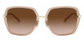 Light Gold / Brown Transparent / Brown Gradient