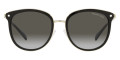 Black / Dark Gray Gradient