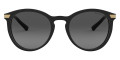 Black / Dark Gray Gradient Polarized