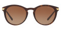 Dark Tortoise / Brown Gradient