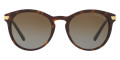 Dark Tortoise / Brown Gradient Polarized