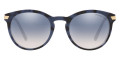 Blue Tortoise / Silver Flash Blue Gradient