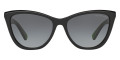 Black / Dark Gray Gradient
