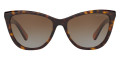 Dark Tortoise / Brown Gradient Polarized