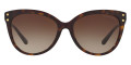 Dark Tortoise / Brown Gradient