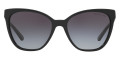 Black / Light Gray Gradient