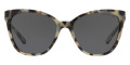 Cream Tortoise / Gray Solid