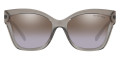 Gray Transparent / Brown Purple Flash