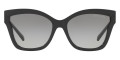 Black / Gray Gradient