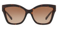Dark Tortoise / Brown Gradient