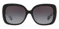Black / Dark Gray Gradient
