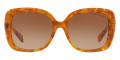 Amber Tortoise / Brown Gradient
