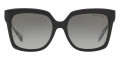 Black / Gray Gradient
