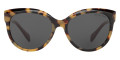 Vintage Tortoise / Dark Gray Solid