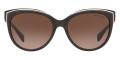 Dark Brown Jacqaurd Logo / Brown Gradient