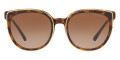 Gold / Dark Tortoise / Brown Gradient