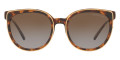 Gold / Dark Tortoise / Brown Gray Gradient Polarized