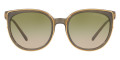 Olive Transparent / Olive Khaki Gradient