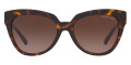 Dark Tortoise / Dark Brown Gradient