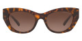 Dark Tortoise / Dark Brown Gradient