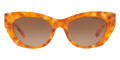 Amber Tortoise / Brown Gradient