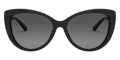 Black / Gray Gradient