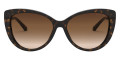 Dark Tortoise / Brown Gradient