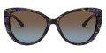 Blue Fleck Tortoise / Brown Blue Gradient